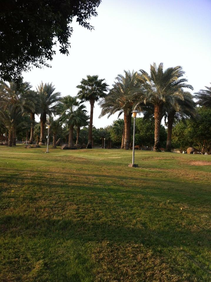 Alrehab‏‏ park